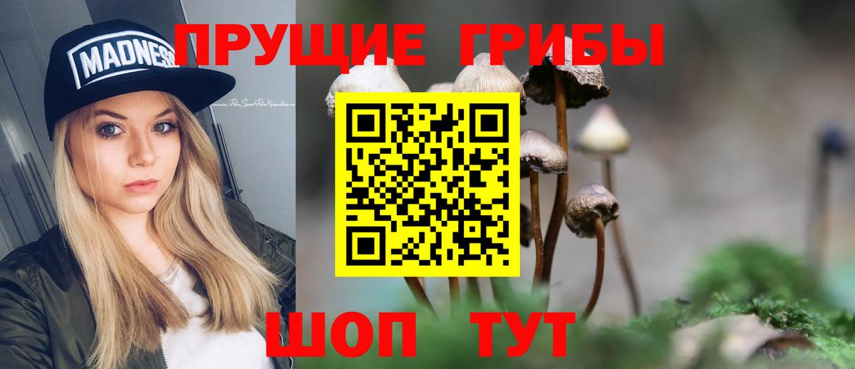 Псилоцибиновые грибы Cubensis  Галлюциногенные грибы мухоморы  Вход с VPN  Ялуторовск 